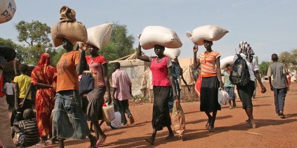 Moscou et Ankara travaillent à vaincre la crise alimentaire en Afrique