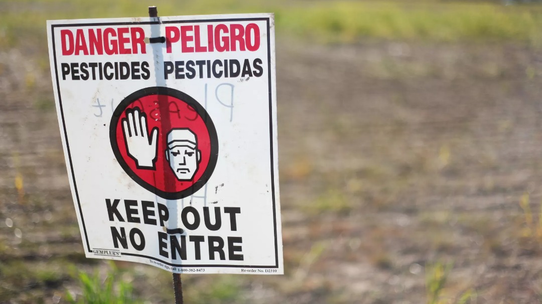 La France continue d’exporter des pesticides interdits, selon deux ONG