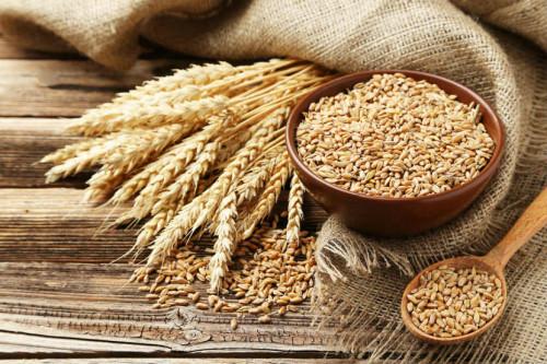 Ces  3 pays africains boostent leurs achats de blé russe