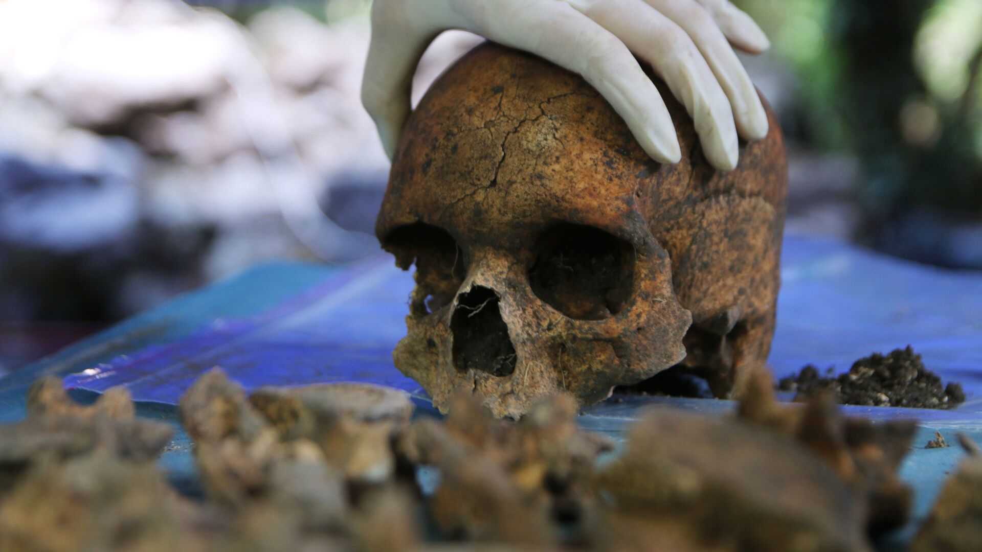 Berlin prêt à restituer des crânes d’une ancienne colonie africaine ; les détails