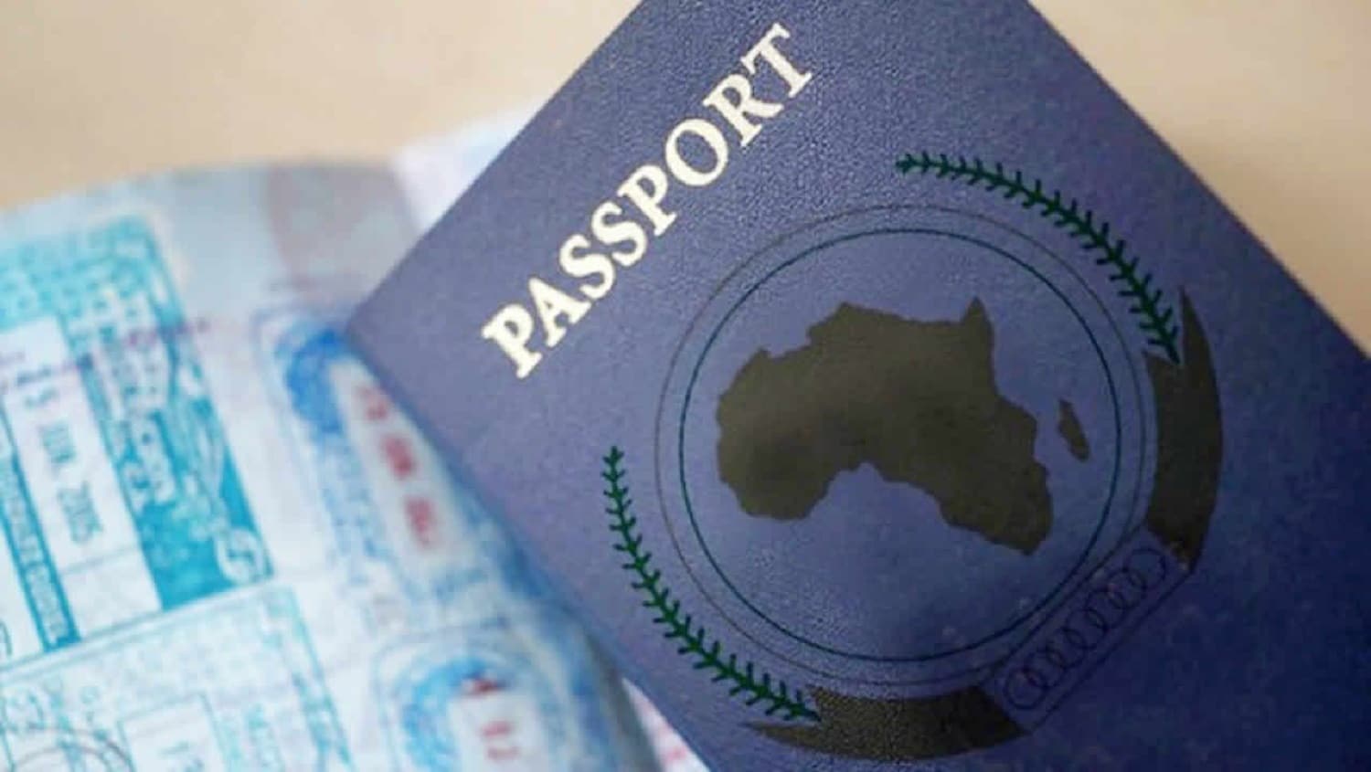 Mali : annulation de passeports diplomatiques d’opposants à la révision de la Constitution